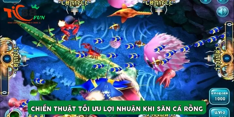 Chiến thuật tối ưu lợi nhuận khi Săn Cá Rồng